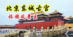 我想操操女人的逼中国北京-东城古宫旅游风景区